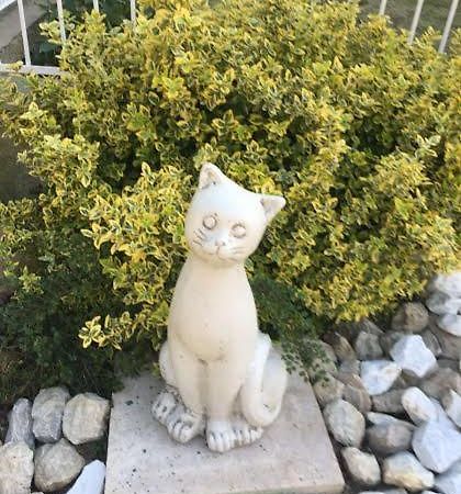 Lavender Διαμέρισμα Hévíz Εξωτερικό φωτογραφία