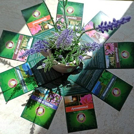 Lavender Διαμέρισμα Hévíz Εξωτερικό φωτογραφία